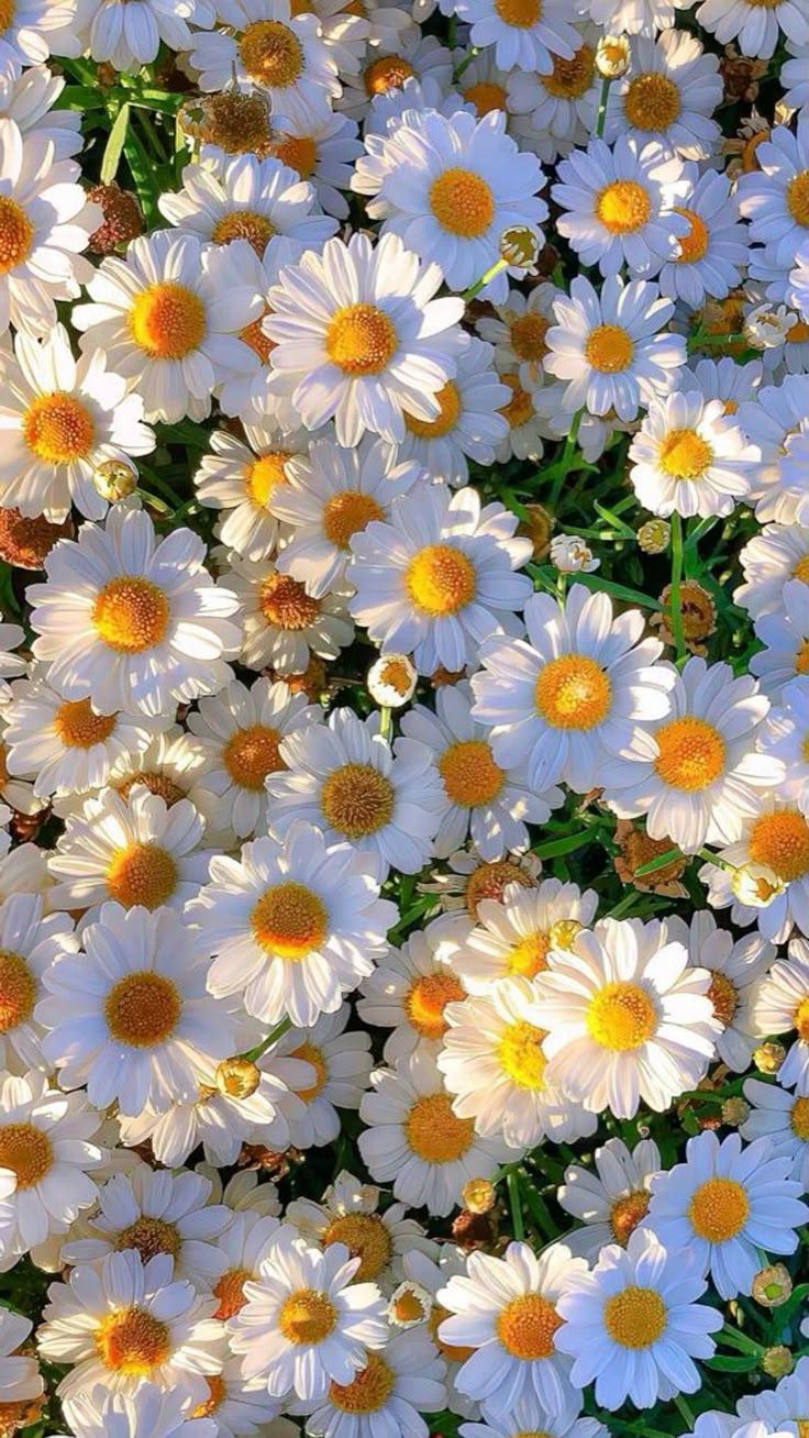 LineNicheStudio workshop space where corporate flower arrangements are designed and prepared for business delivery